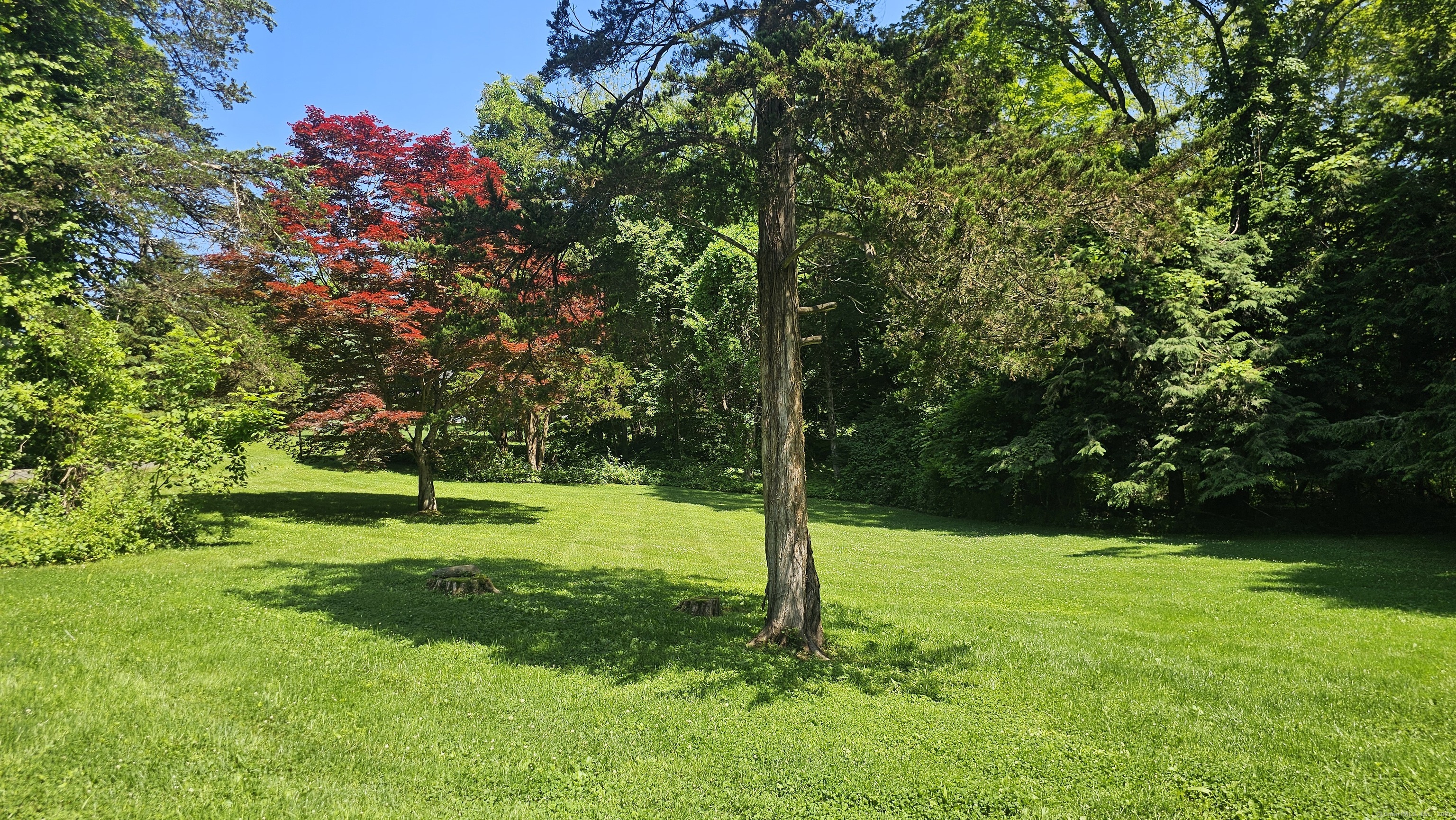 205 Luther Drive