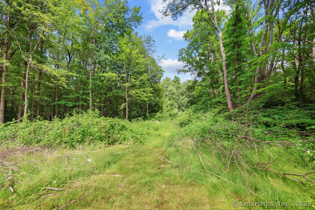 38 Cedar Lane
