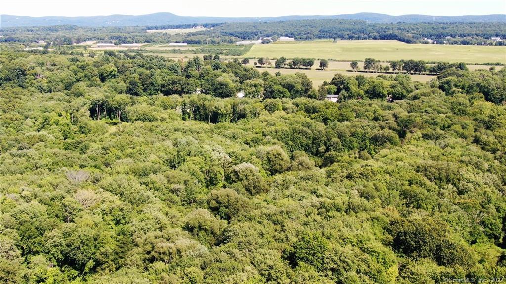 Broad Brook Road, Enfield, Connecticut image 15