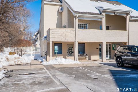 Tiny photo for 322 Willow Springs #322, New Milford, CT 06776 (MLS # 24153526)