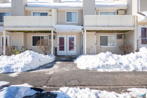 Tiny photo for 322 Willow Springs #322, New Milford, CT 06776 (MLS # 24153526)