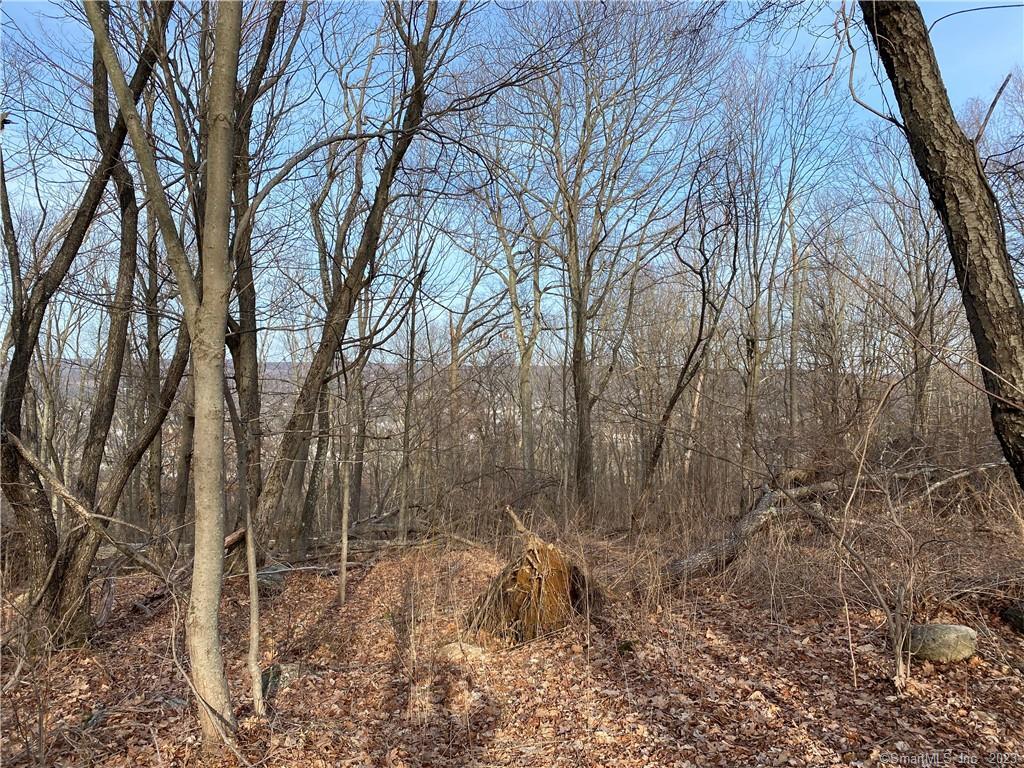 Andrew Mountain Road, Naugatuck, Connecticut image 8