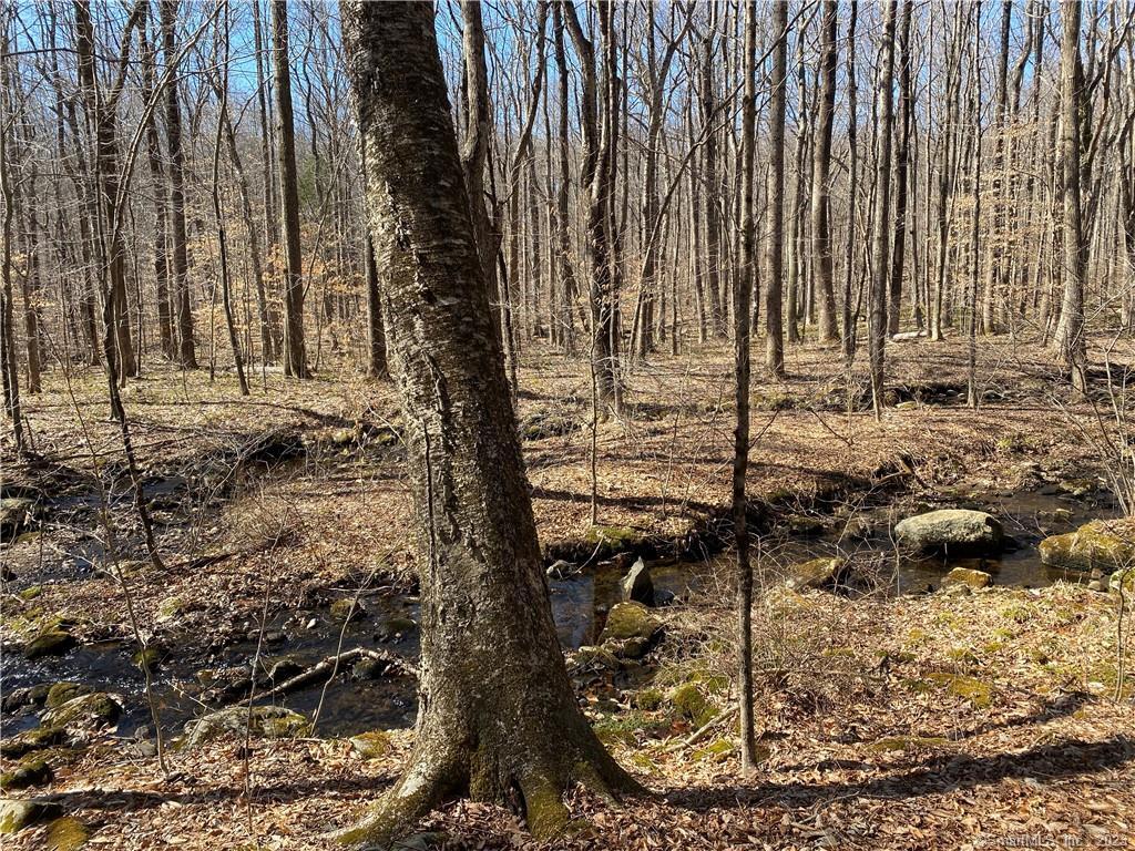 Andrew Mountain Road, Naugatuck, Connecticut image 4