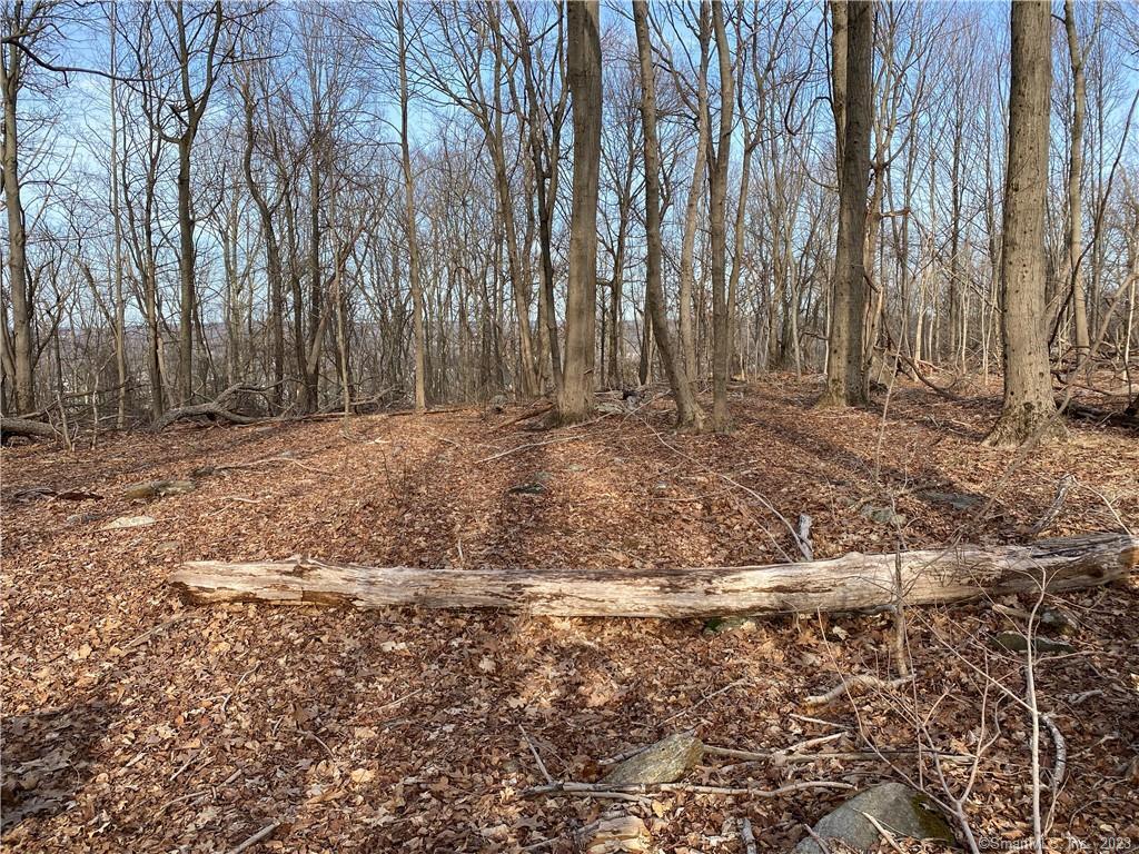 Andrew Mountain Road, Naugatuck, Connecticut image 13