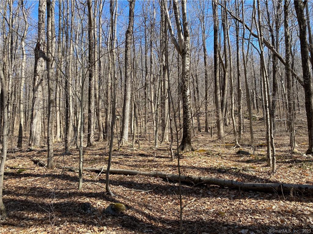 Andrew Mountain Road, Naugatuck, Connecticut image 3