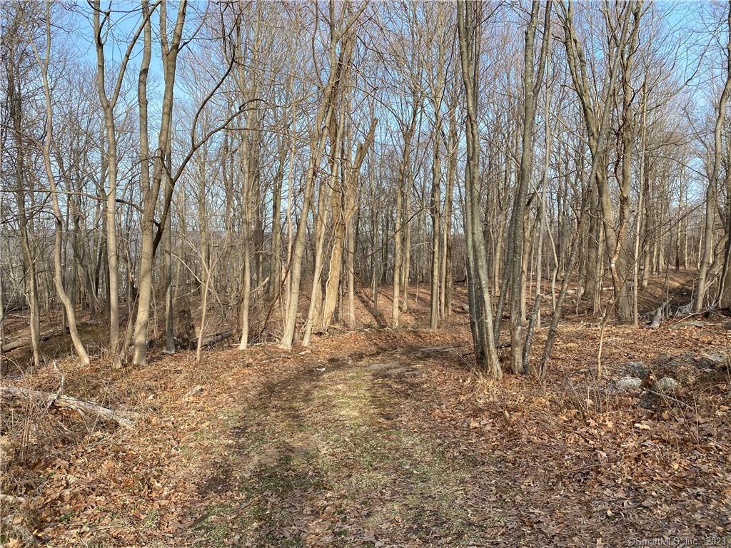 Andrew Mountain Road, Naugatuck, Connecticut image 12