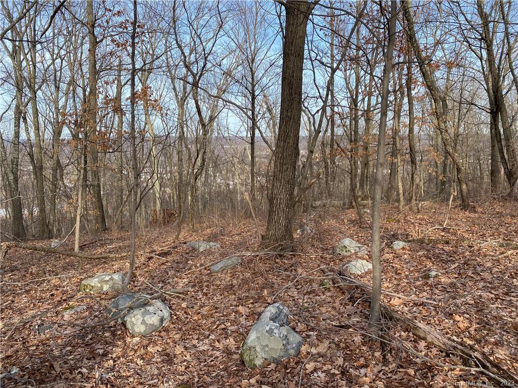 Andrew Mountain Road, Naugatuck, Connecticut image 15