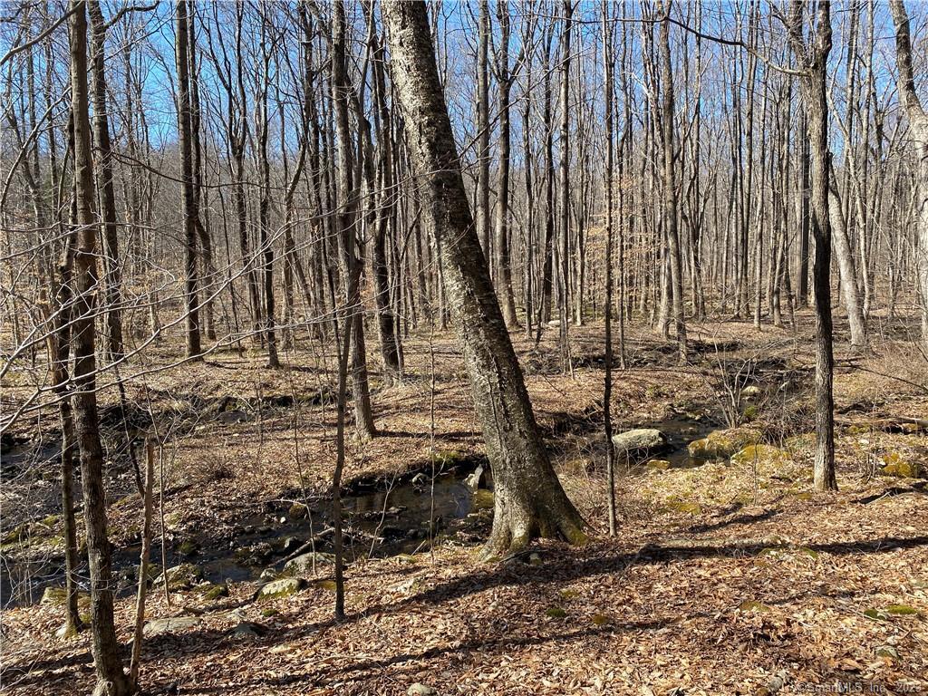 Andrew Mountain Road, Naugatuck, Connecticut image 16