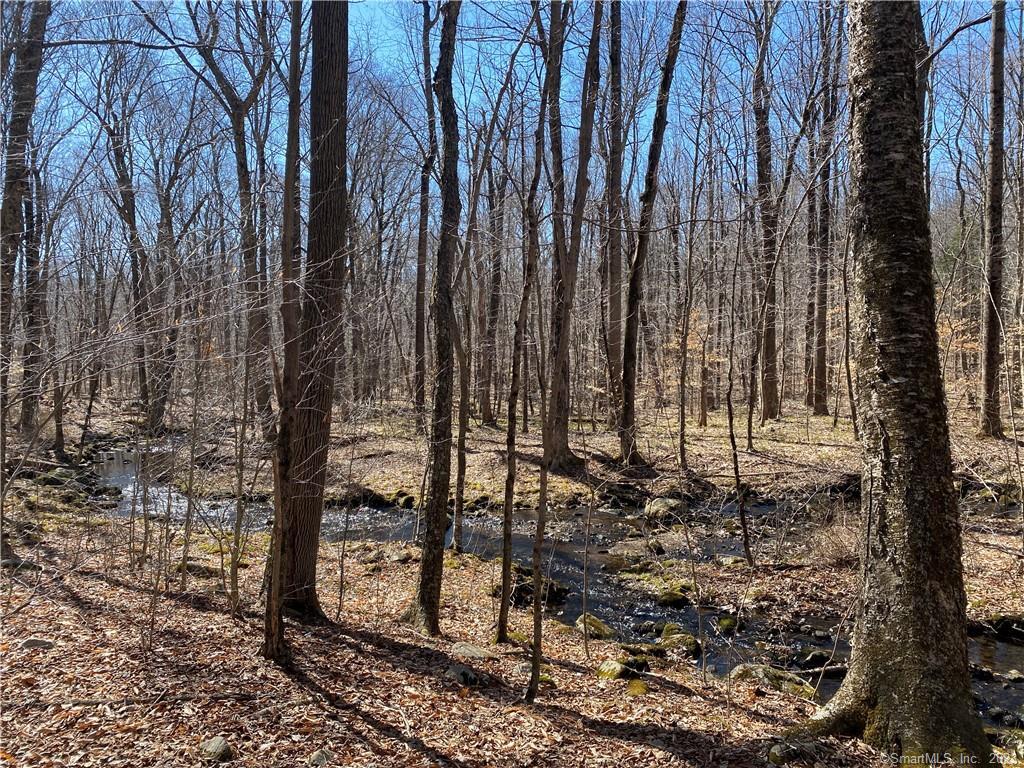 Andrew Mountain Road, Naugatuck, Connecticut image 5