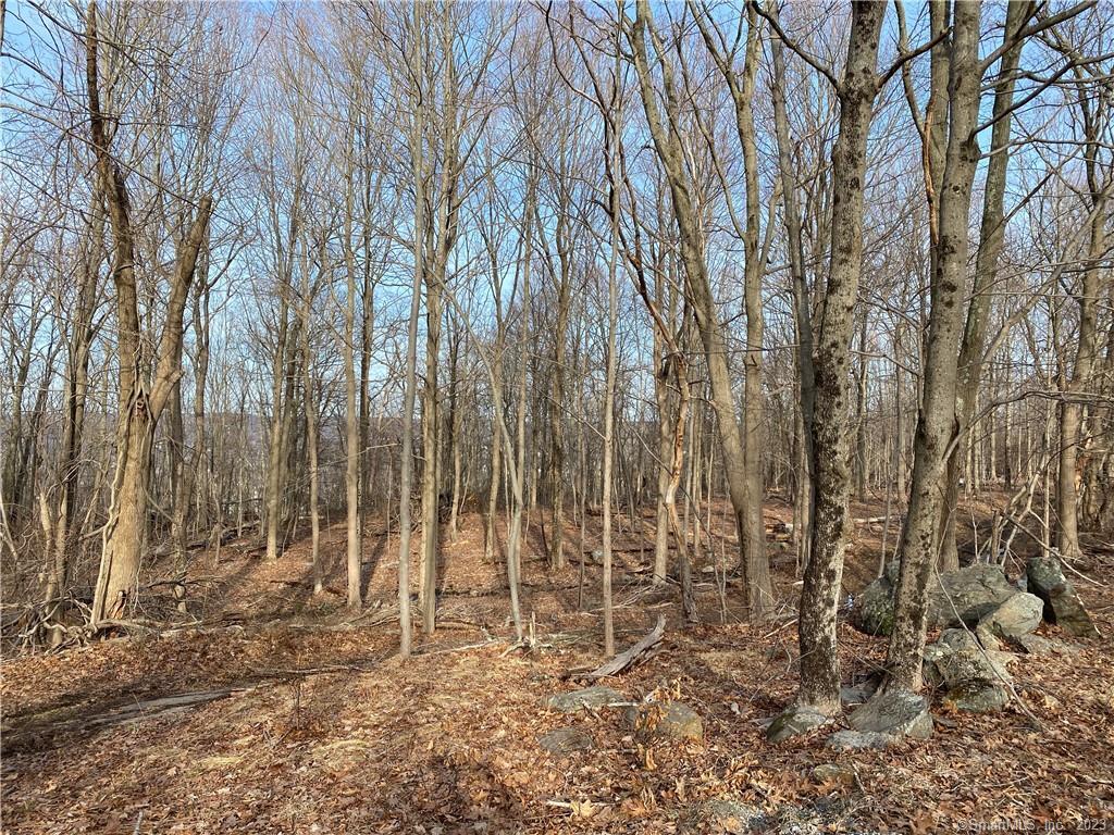 Andrew Mountain Road, Naugatuck, Connecticut image 11