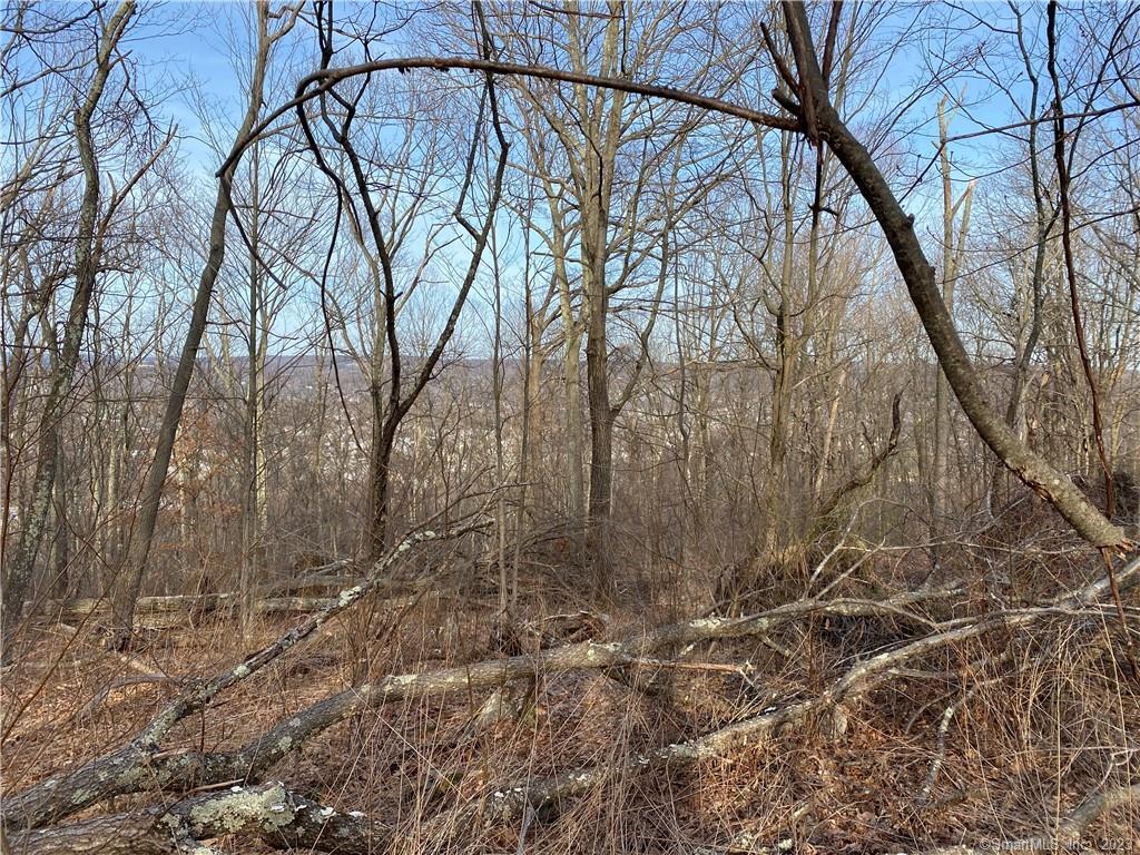 Andrew Mountain Road, Naugatuck, Connecticut image 7