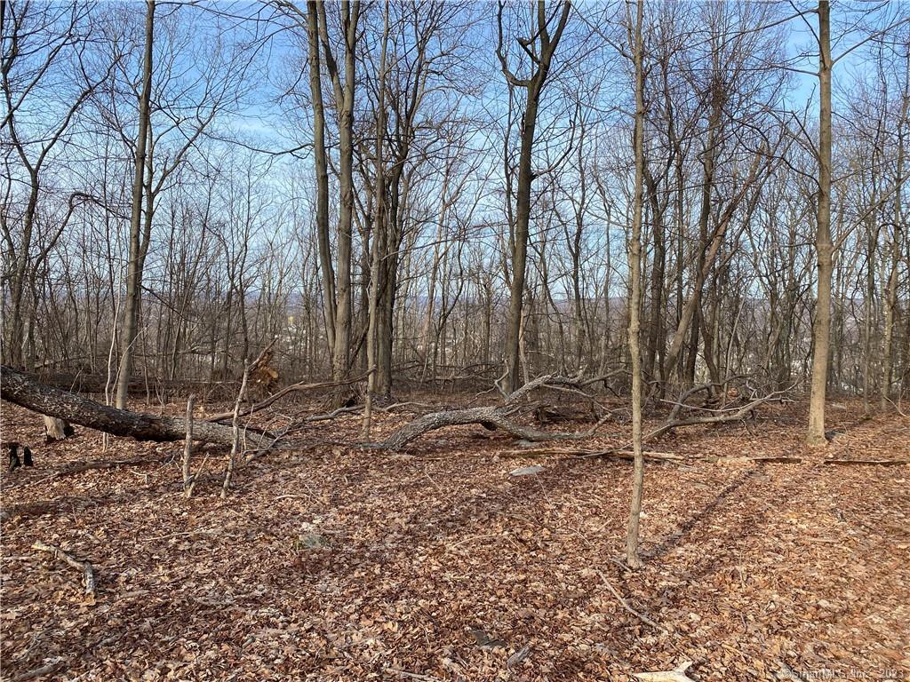 Andrew Mountain Road, Naugatuck, Connecticut image 14