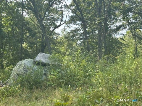 Tiny photo for 14 Barnes Road, Stonington, CT 06378 (MLS # 24202567)