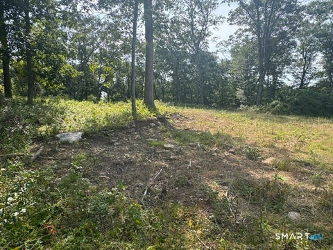 Tiny photo for 14 Barnes Road, Stonington, CT 06378 (MLS # 24202567)
