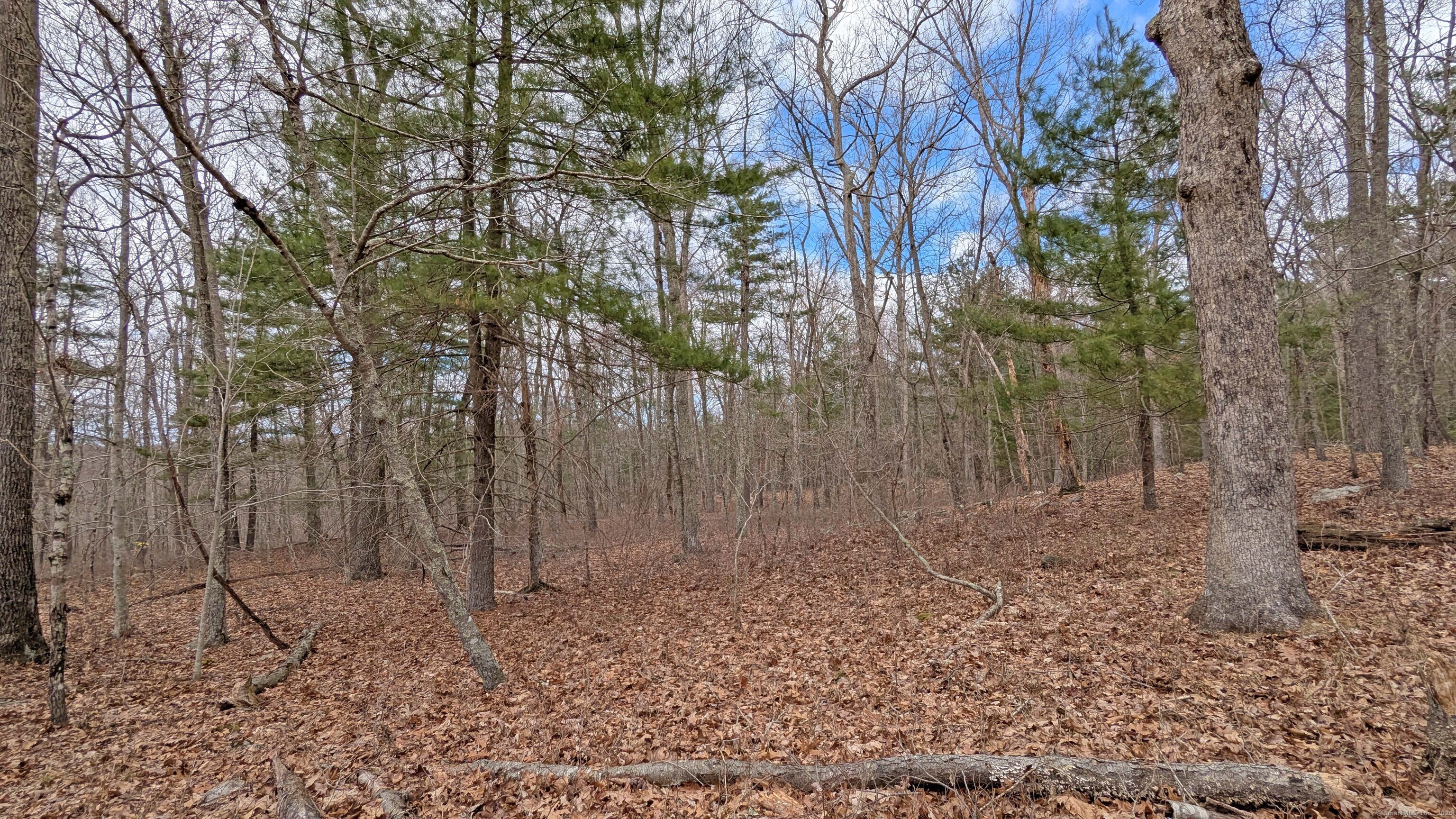 Lot 4 Collie Brook Road, East Hampton, Connecticut image 12