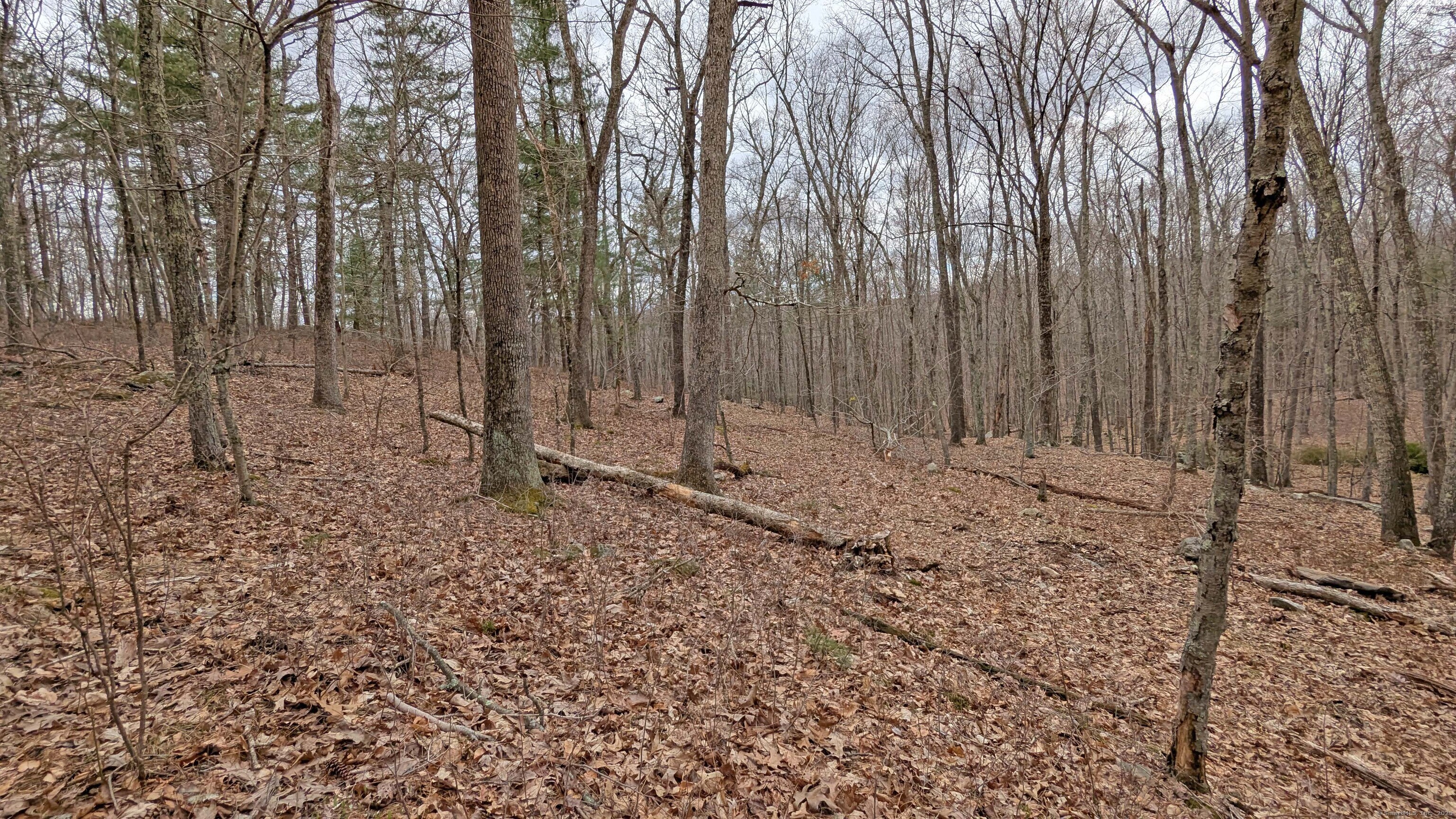 Lot 4 Collie Brook Road, East Hampton, Connecticut image 3