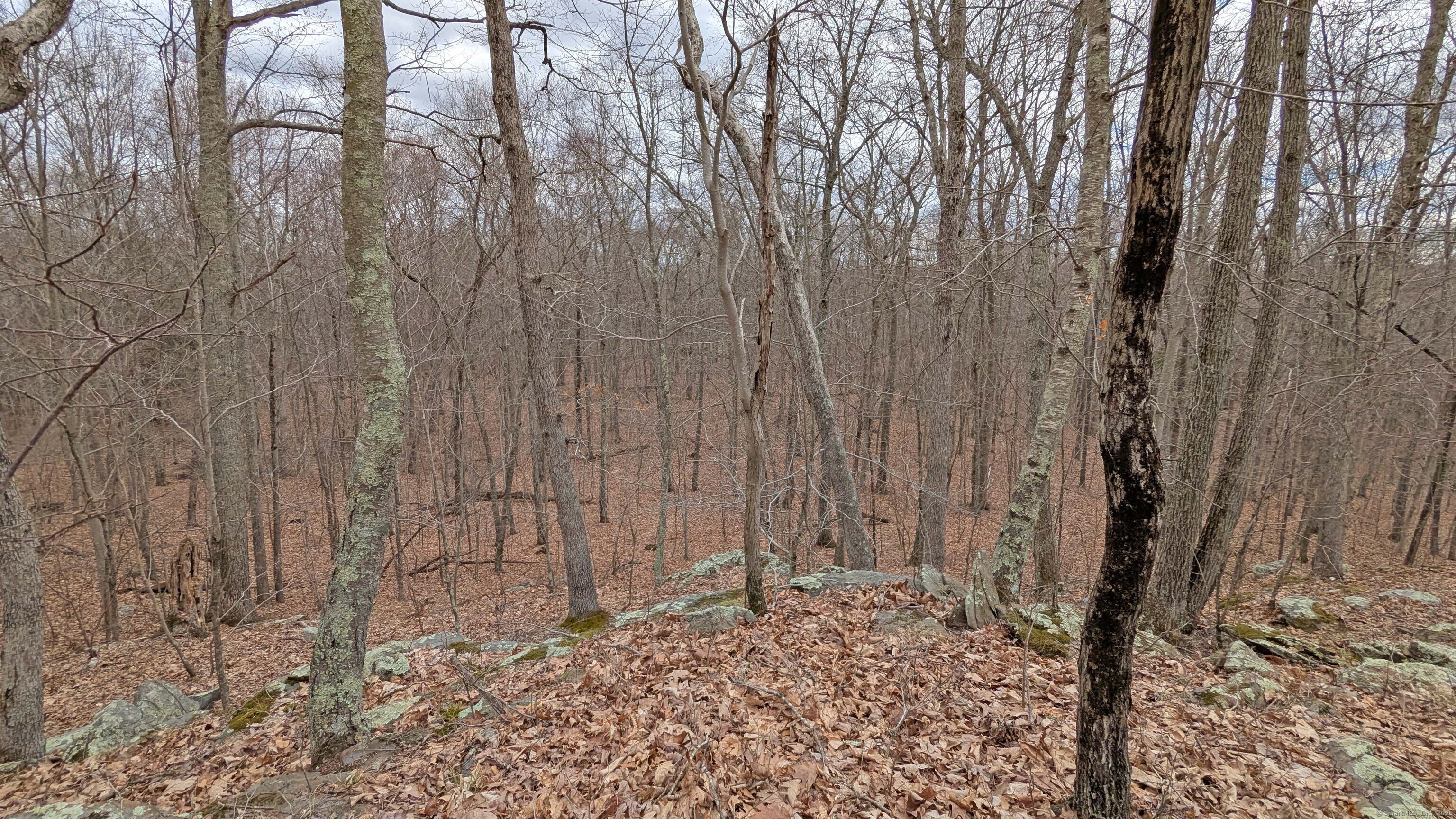 Lot 4 Collie Brook Road, East Hampton, Connecticut image 16