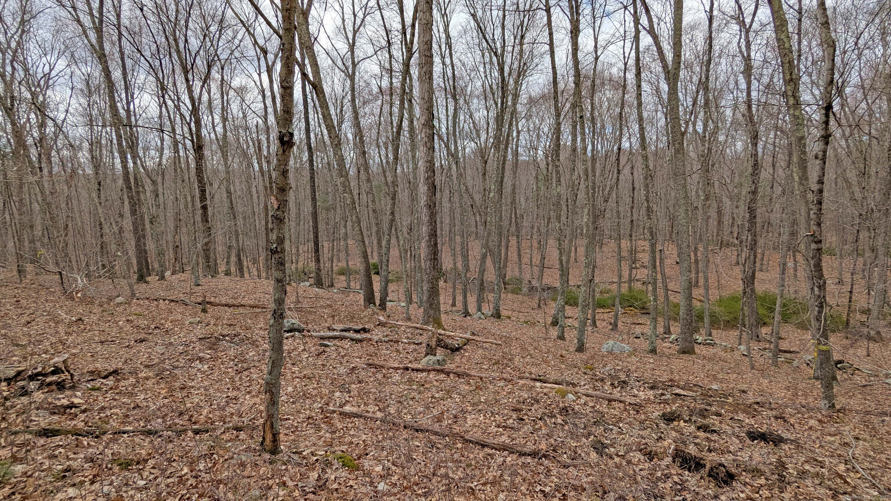 Lot 4 Collie Brook Road, East Hampton, Connecticut image 2