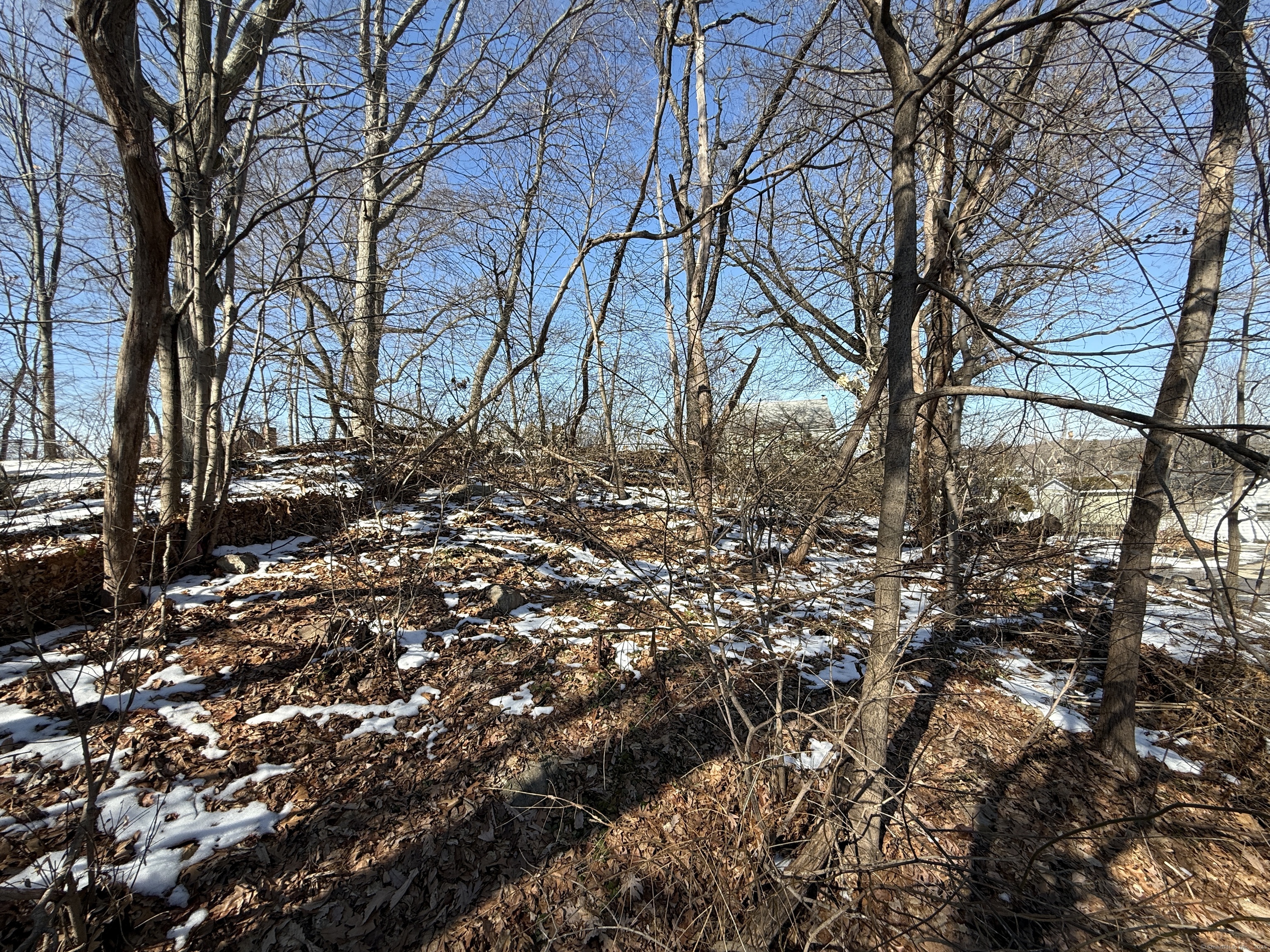 417 Woodside Avenue, Bridgeport, Connecticut image 22
