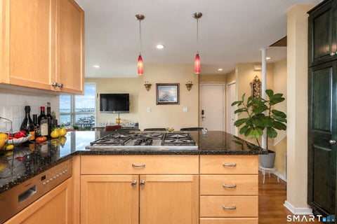 Tiny photo for 10 Harbour Close #10, New Haven, CT 06405 (MLS # 24202581)