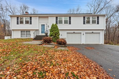 56 Great Hill Road Seymour CT 06483