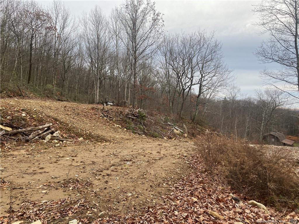 52 Chestnut Hill Road, Wolcott, Connecticut image 8