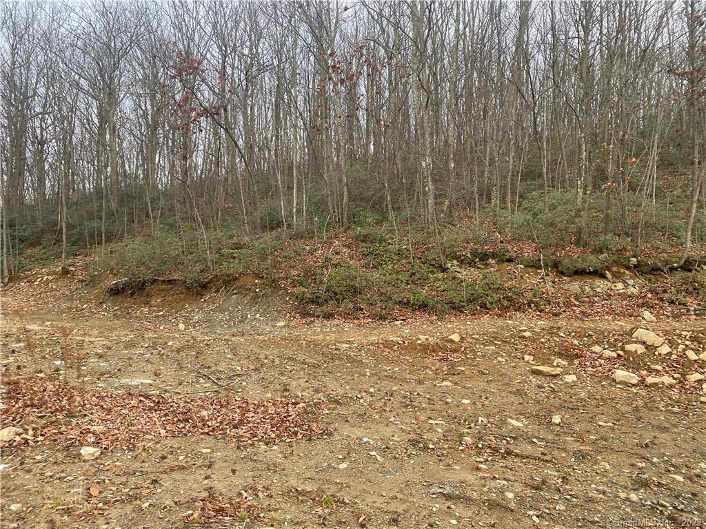 52 Chestnut Hill Road, Wolcott, Connecticut image 11