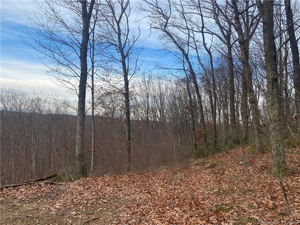 52 Chestnut Hill Road, Wolcott, Connecticut image 13