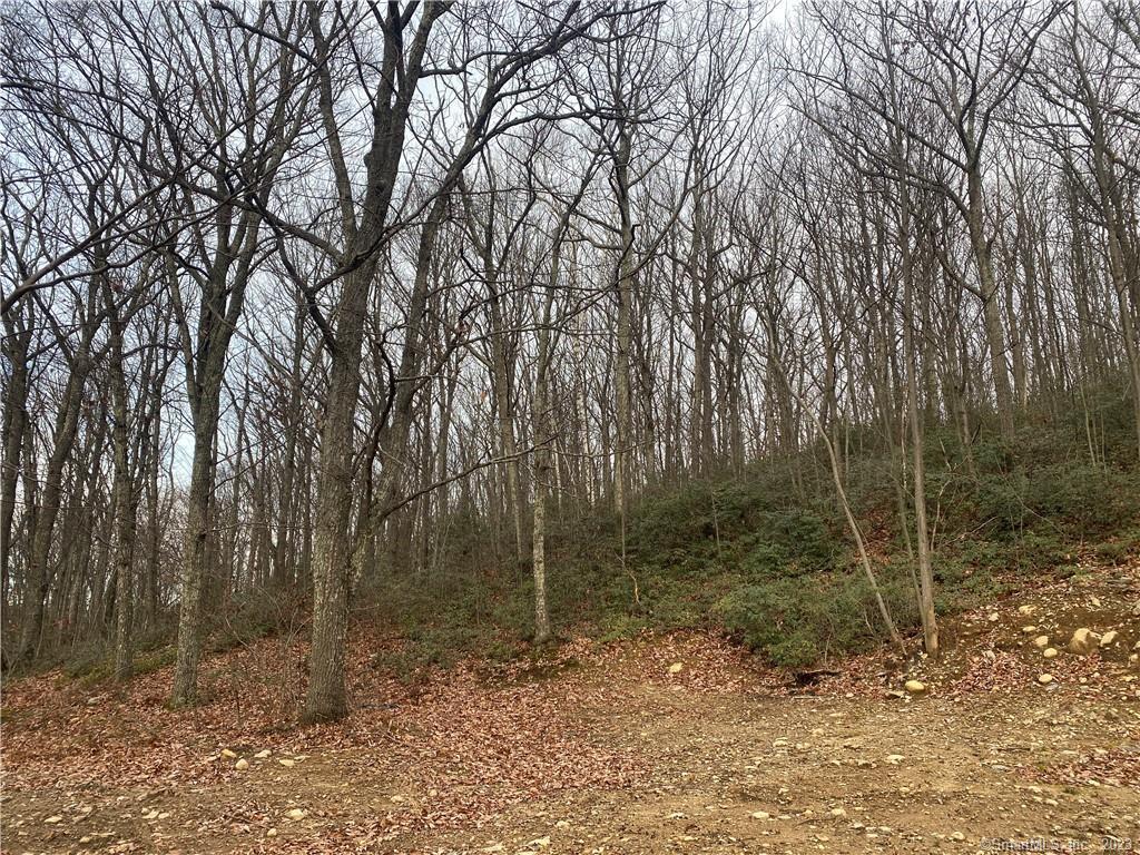 52 Chestnut Hill Road, Wolcott, Connecticut image 12