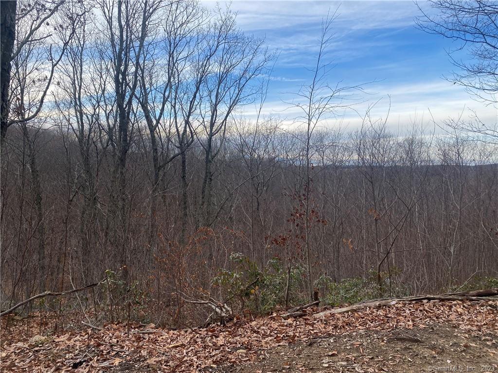 52 Chestnut Hill Road, Wolcott, Connecticut image 5