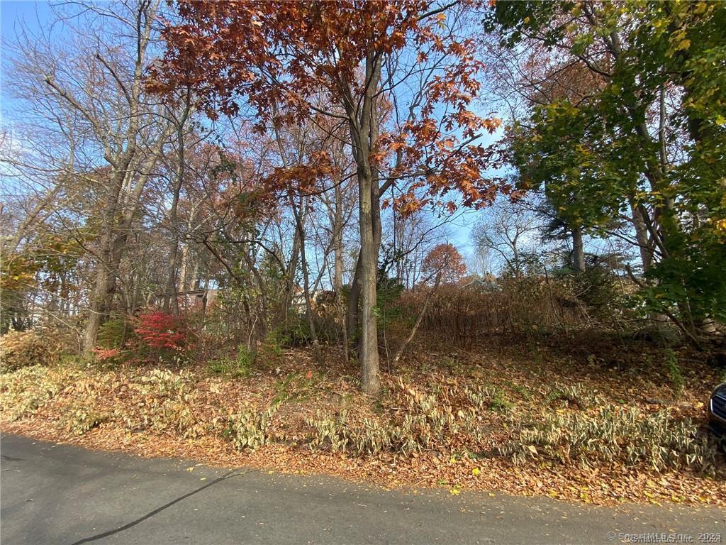 93-95 Eastview Road, Plymouth, Connecticut image 32