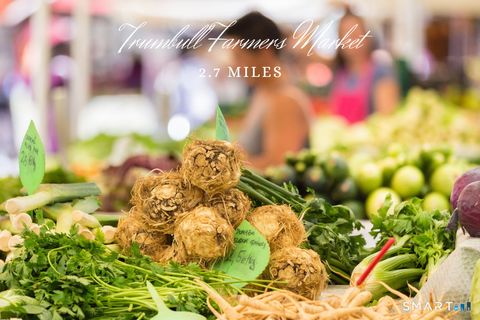 Tiny photo for 88 Chestnut Hill Road, Trumbull, CT 06611 (MLS # 24147217)