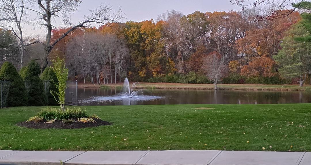 373 Lakeview Drive 373