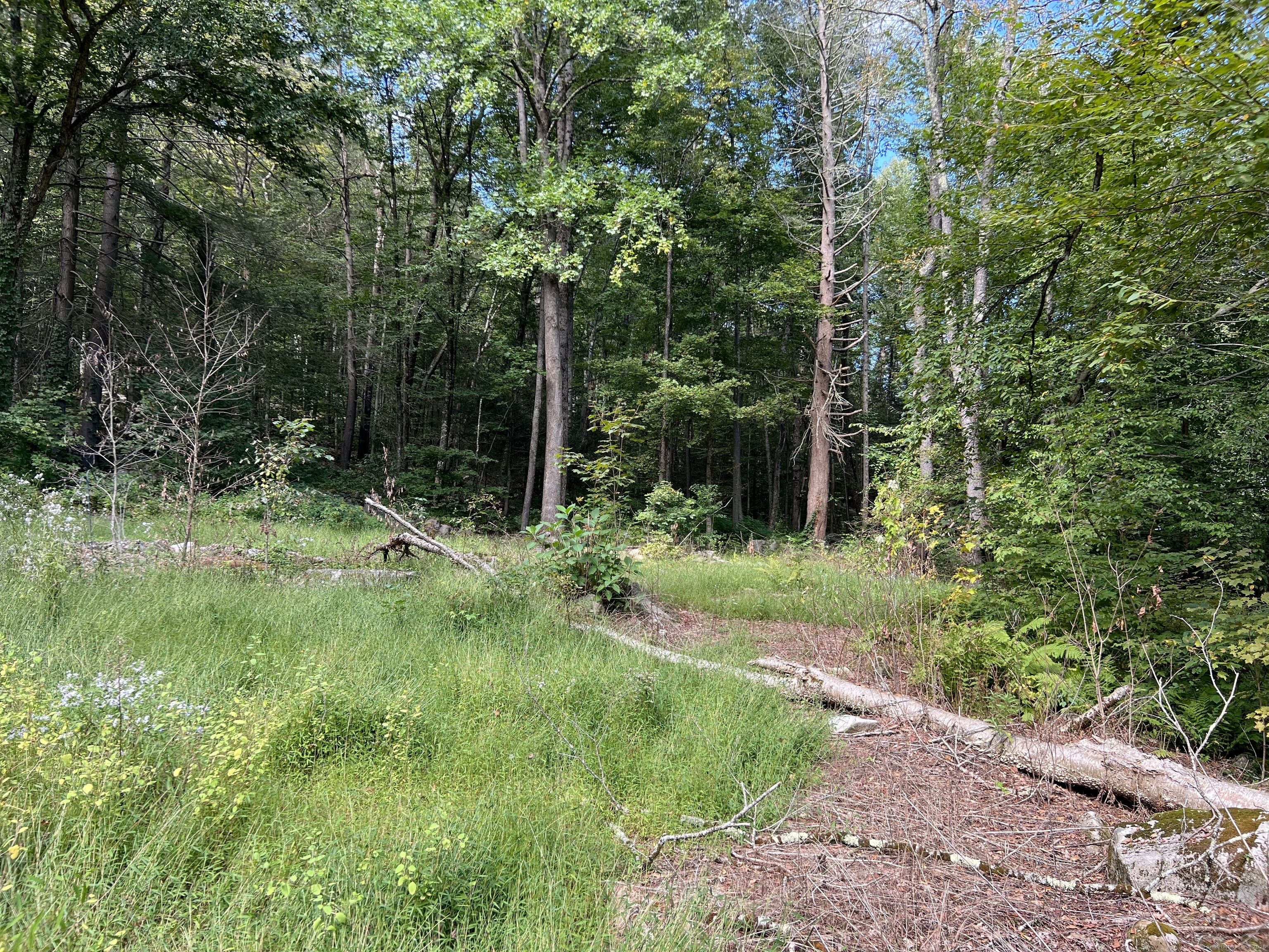 787 Norfolk Road, Torrington, Connecticut image 5