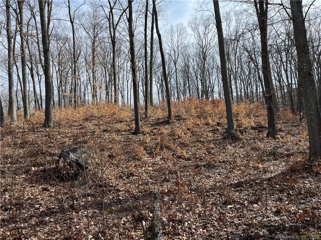 51 Larkey Road, Oxford, Connecticut image 2