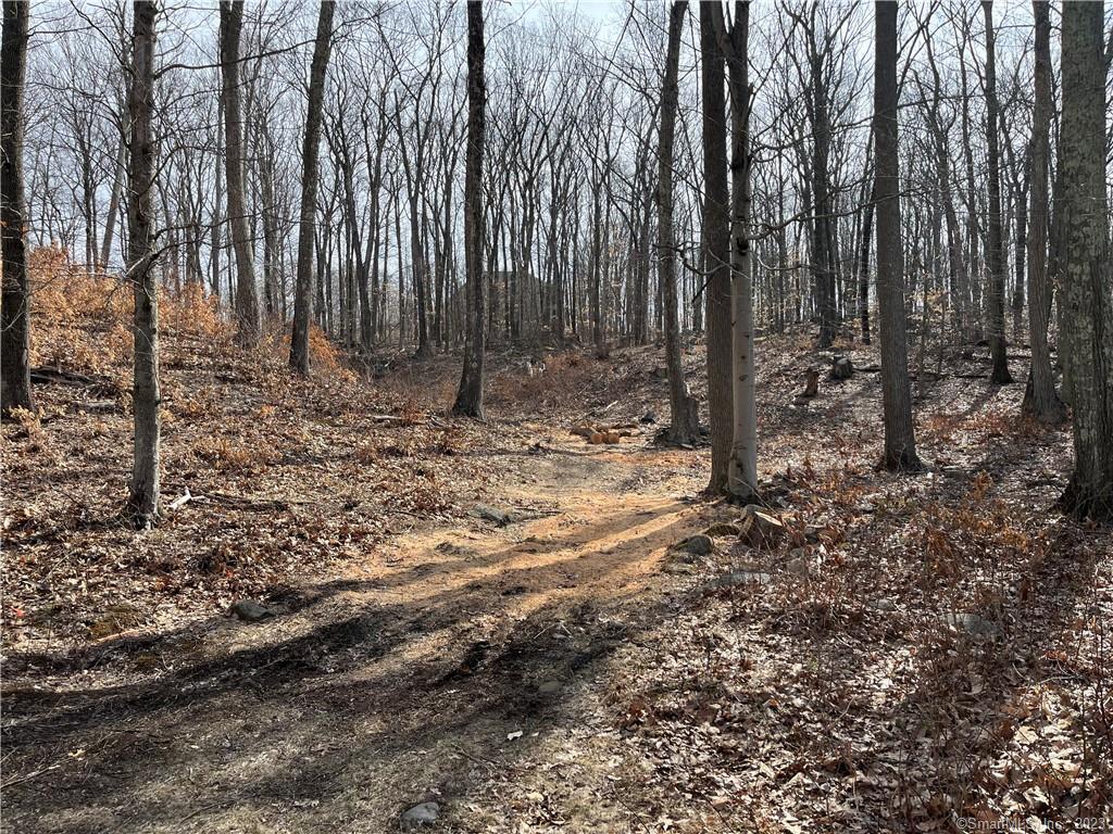 51 Larkey Road, Oxford, Connecticut image 3