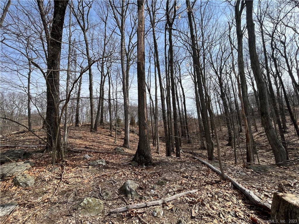 51 Larkey Road, Oxford, Connecticut image 6