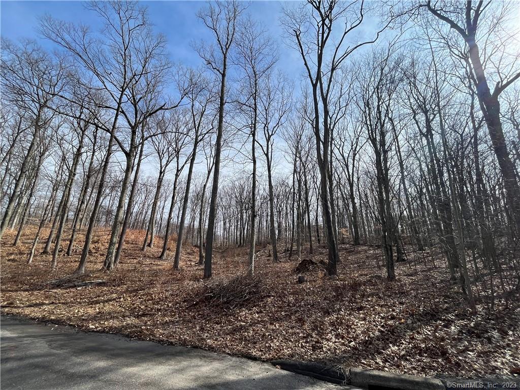 51 Larkey Road, Oxford, Connecticut image 4