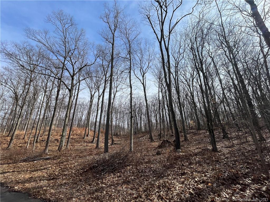 51 Larkey Road, Oxford, Connecticut image 5