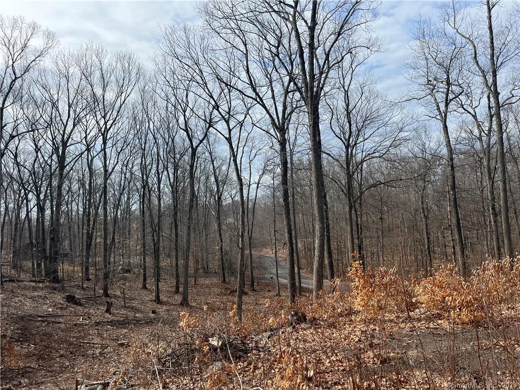 51 Larkey Road, Oxford, Connecticut image 8