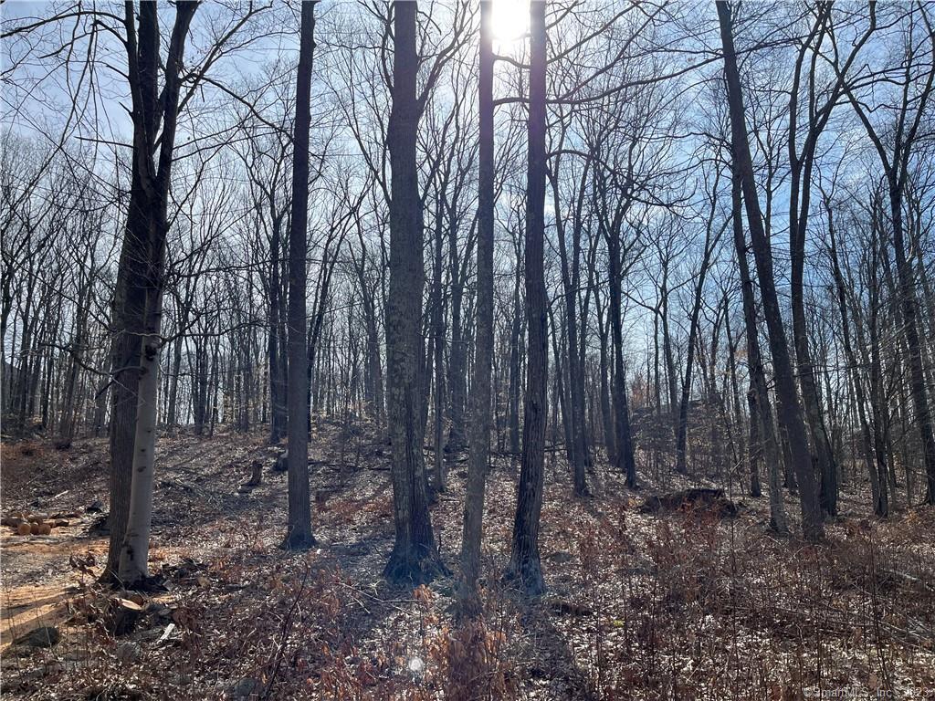 51 Larkey Road, Oxford, Connecticut image 1