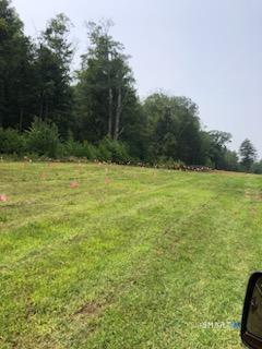 257 Torringford Street