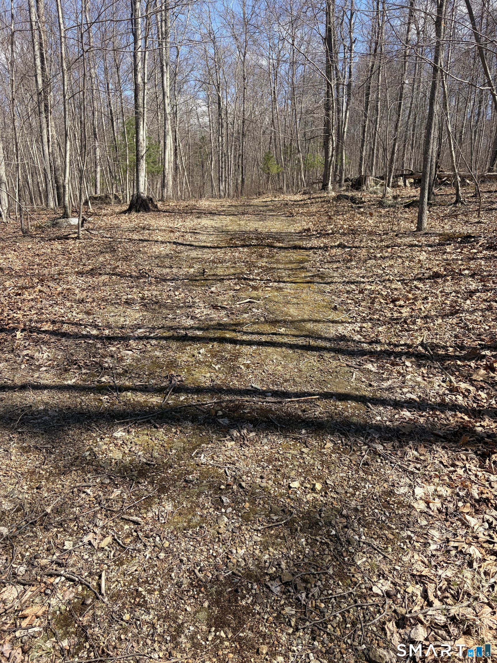 Willington Hill Road