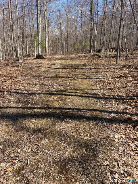 Tiny photo for Willington Hill Road, Willington, CT 06279 (MLS # 24167674)