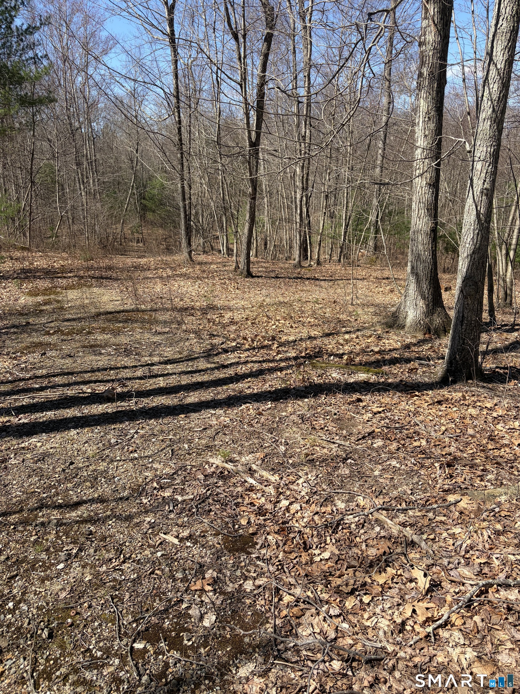 Willington Hill Road