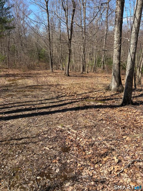 Tiny photo for Willington Hill Road, Willington, CT 06279 (MLS # 24167674)