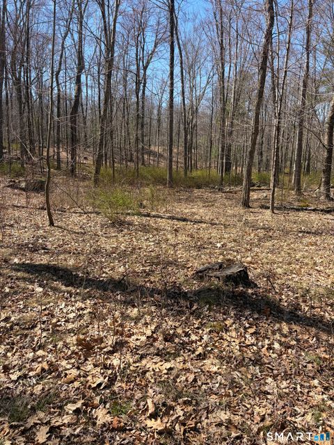 Tiny photo for Willington Hill Road, Willington, CT 06279 (MLS # 24167674)