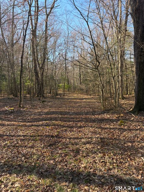 Photo of Willington Hill Road, Willington, CT 06279 (MLS # 24167674)