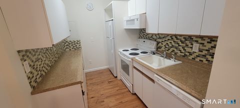 Tiny photo for 109 Wooster Street #F, Bethel, CT 06801 (MLS # 24144652)