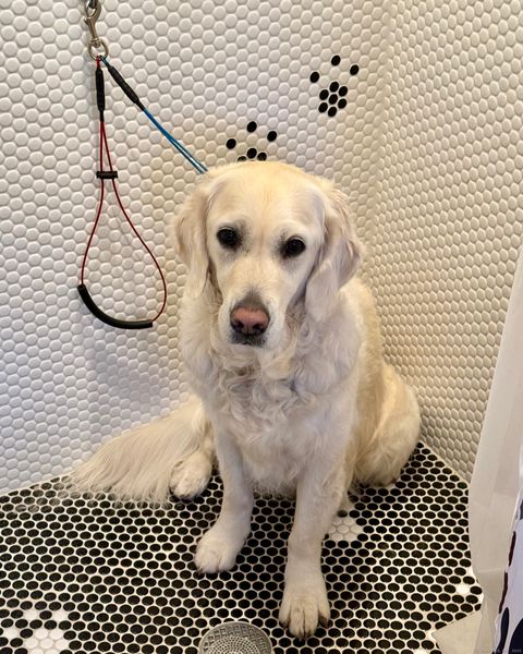 Tiny photo for 176 Logan Road, New Canaan, CT 06840 (MLS # 24122086)